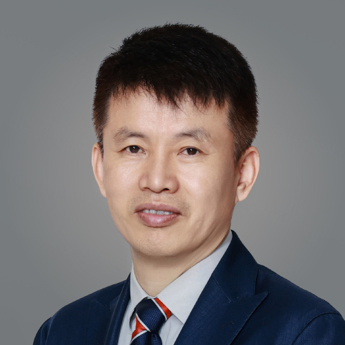 Professor Hongbin CAI