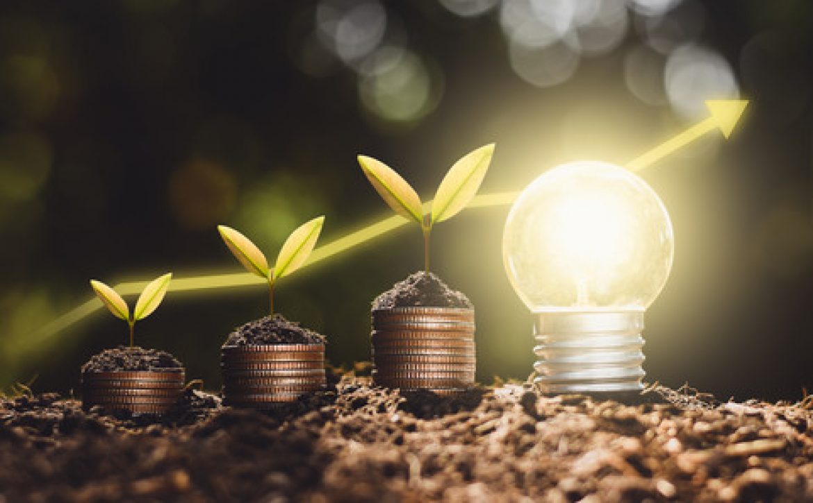 The seedlings are growing on the coins placed on the ground, thinking about financial growth.
