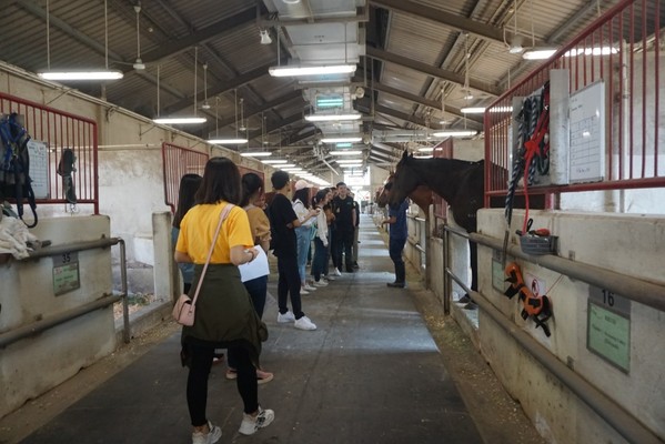 Horse Riding & Stable Visit