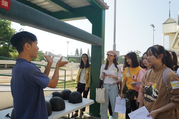 Horse Riding & Stable Visit