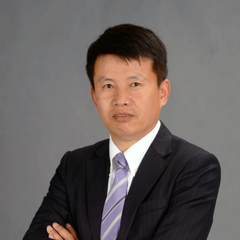 Prof. Hongbin CAI's portfolio