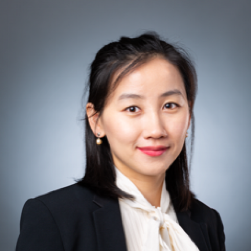 Dr. Shan HUANG's portfolio