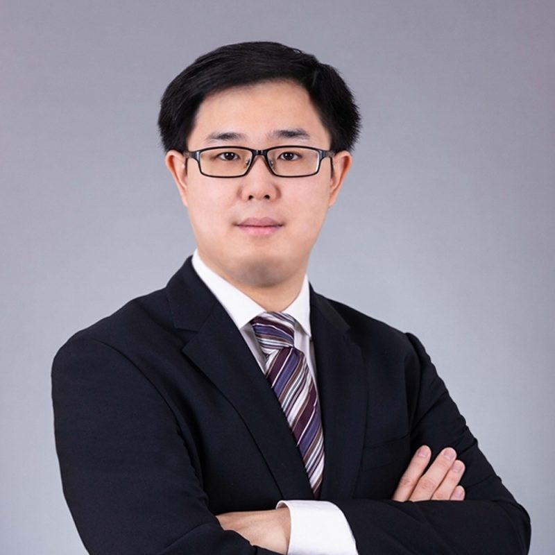 Prof. Weichen WANG's portfolio