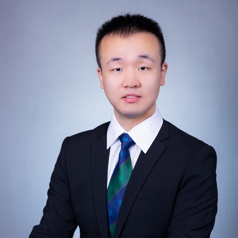 Mr. Yang LEI's portfolio