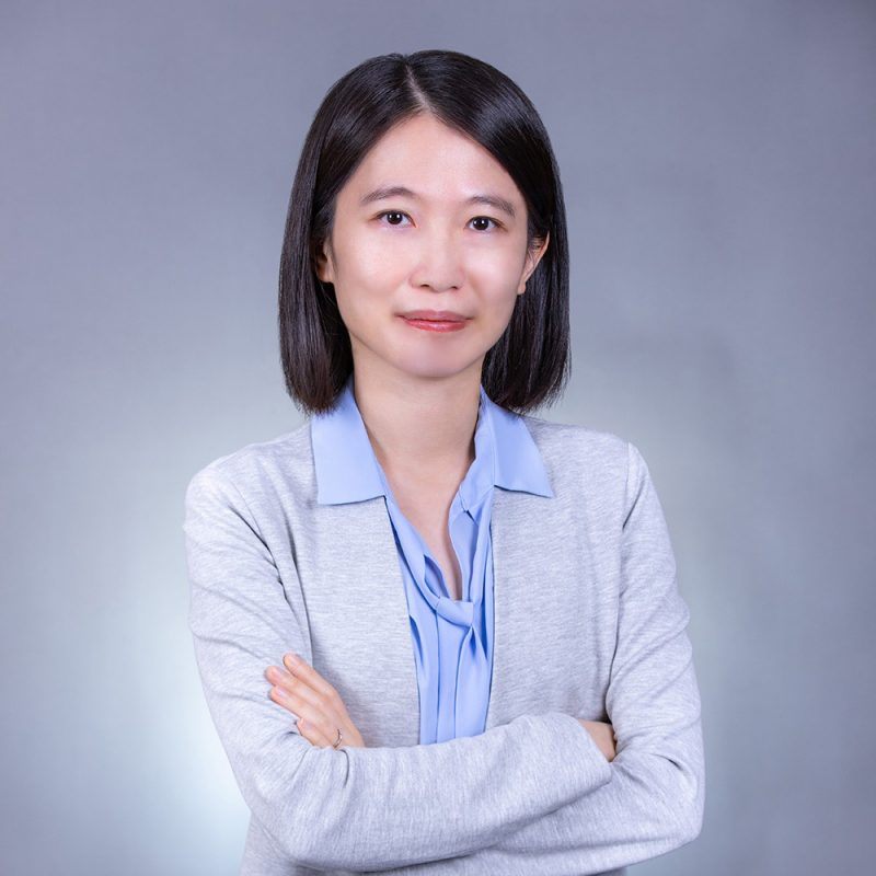 Dr. Bingjing LI's portfolio