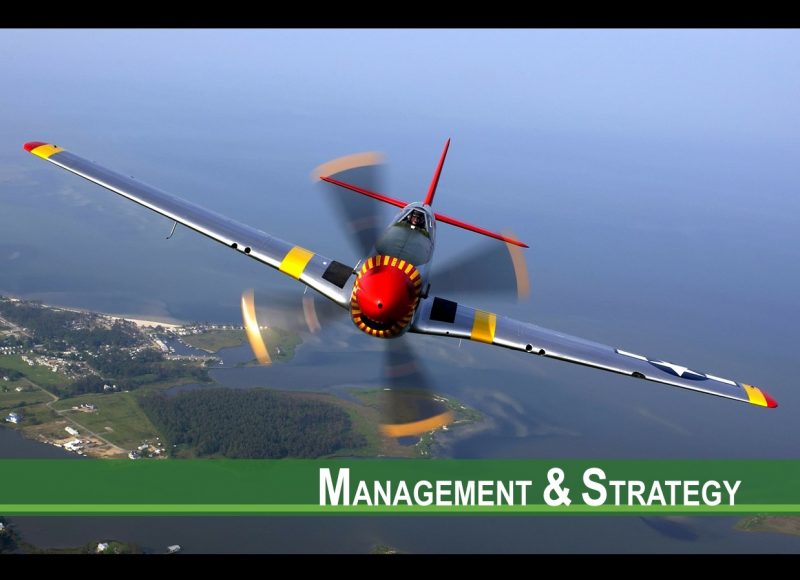 No-Fly Zone in the Loan Office: How Chief Executive Officers’ Risky Hobbies Affect Credit Stakeholders’ Evaluation of Firms