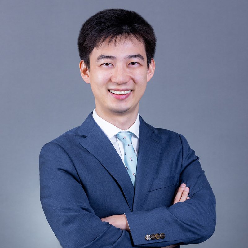 Prof. Michael B. WONG's portfolio