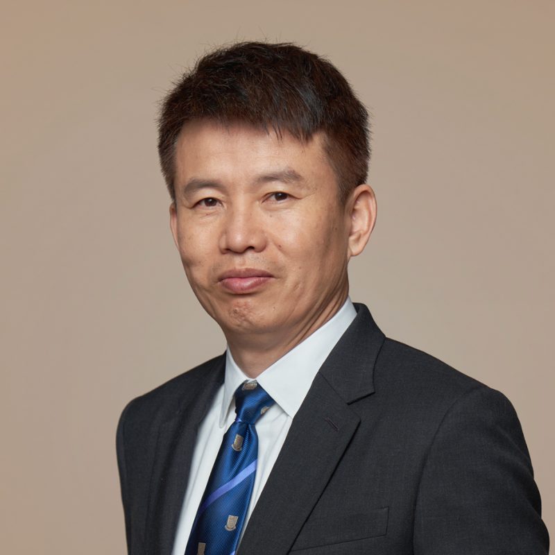Prof. Hongbin CAI's portfolio