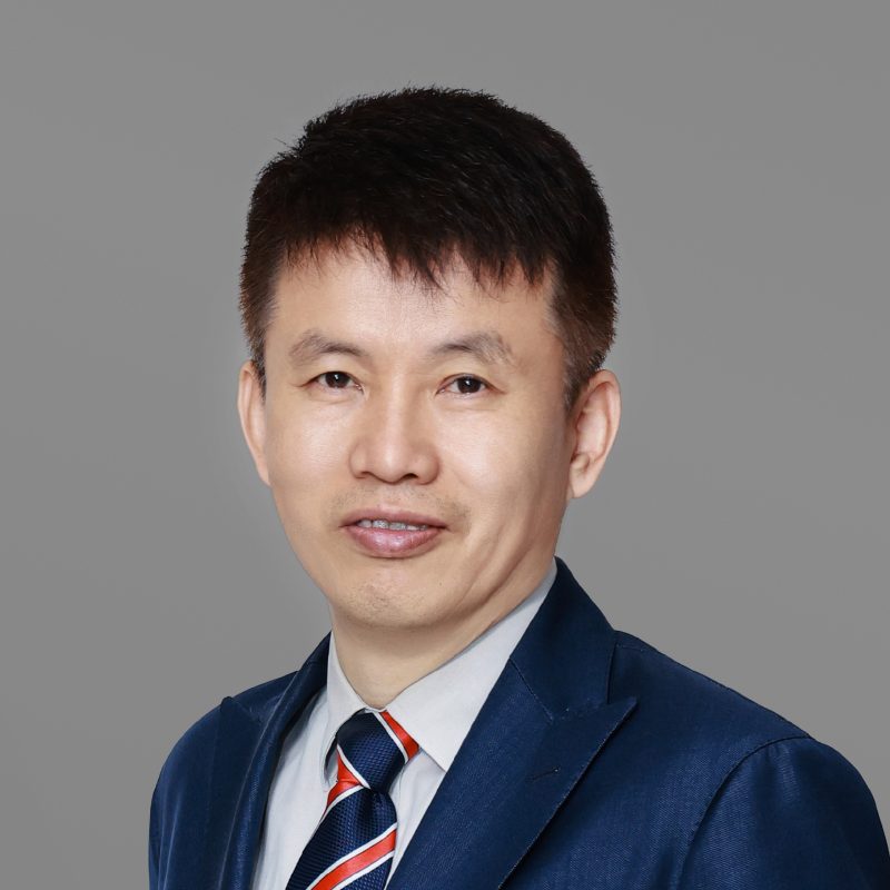 Prof. Hongbin CAI's portfolio