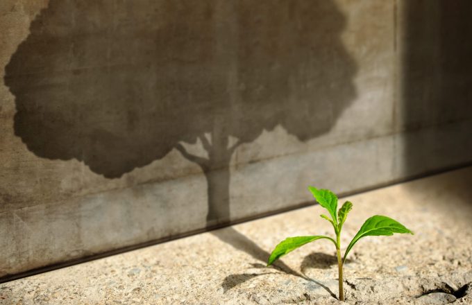 Is ESG a fad or the future?