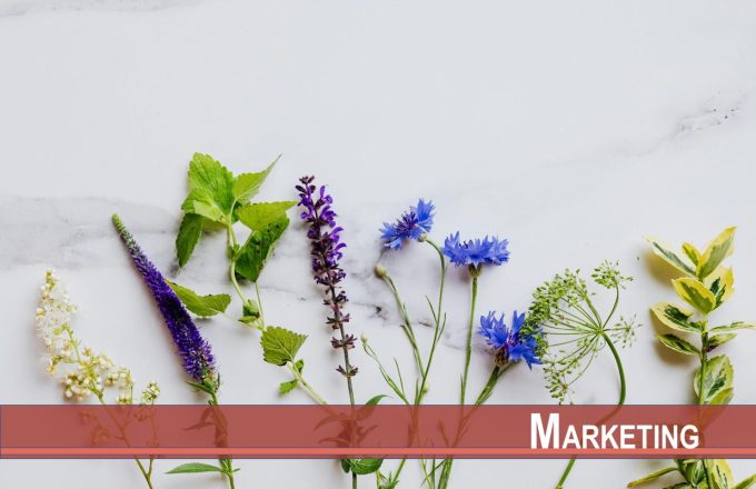 Consumers Prefer Natural Medicines More when Treating Psychological than Physical Conditions