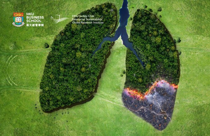 Trade, Trees, and Lives