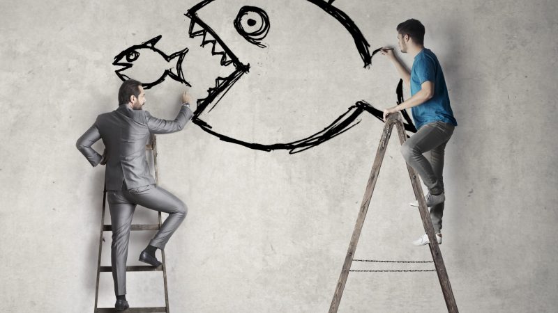 Strategic Information Design to Safeguard Small Businesses from Innovation Misappropriation