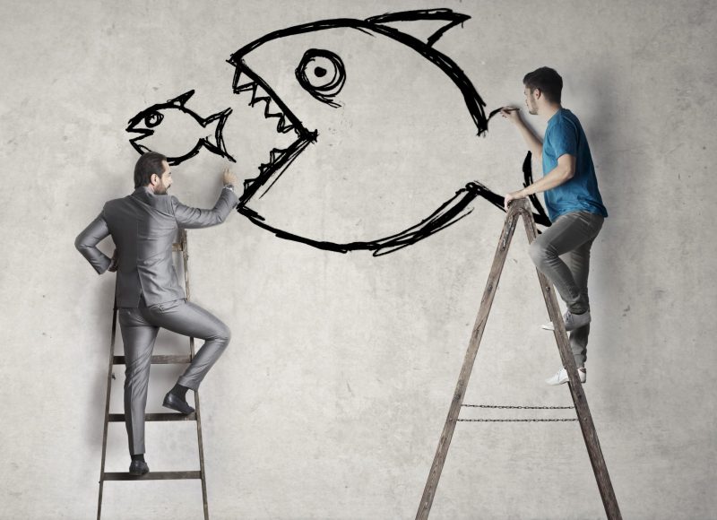 Strategic Information Design to Safeguard Small Businesses from Innovation Misappropriation