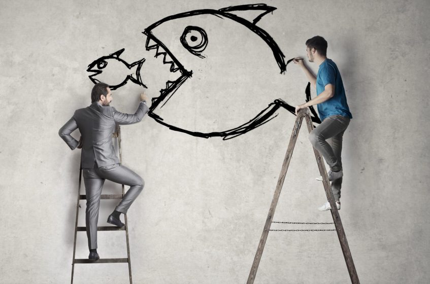 Strategic Information Design to Safeguard Small Businesses from Innovation Misappropriation