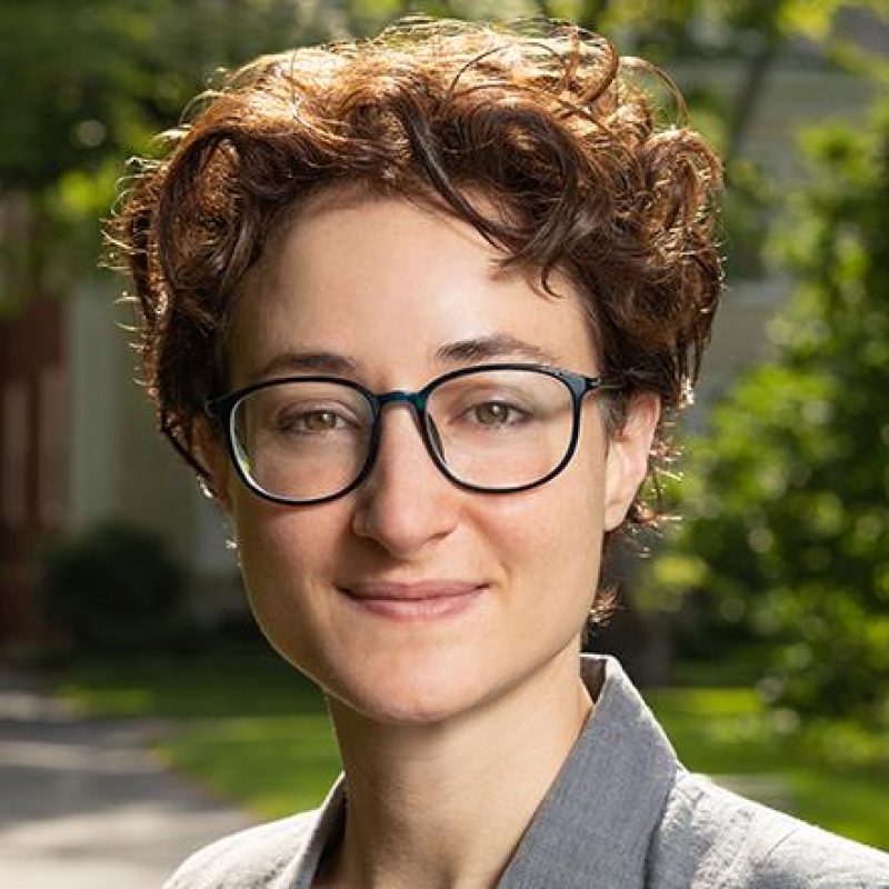 Labor as Capital: AI and the Ownership of Expertise