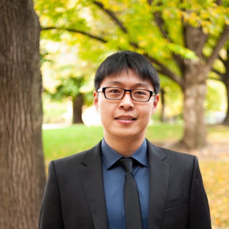 Generative AI and Data Quality: Implications for Productivity, Labor Displacement, and Policy