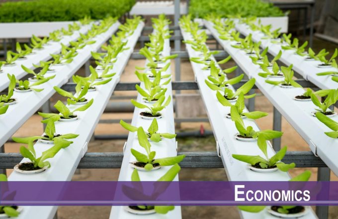 Technology Training, Buyer-Supplier Relationship, and Quality Upgrading in an Agricultural Supply Chain