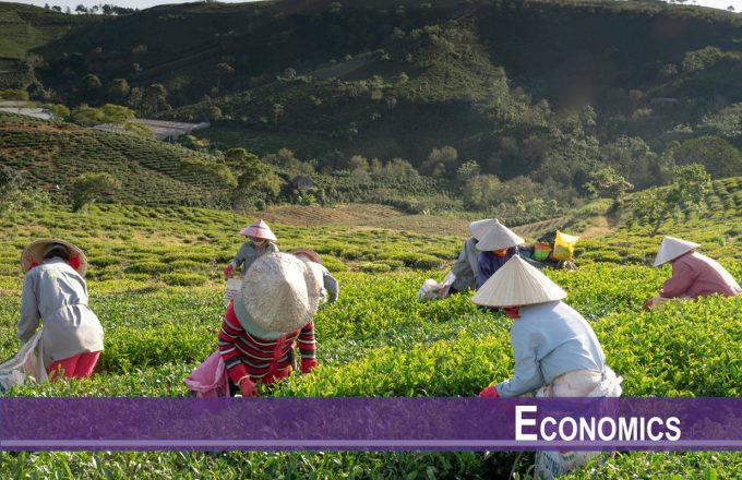 Rural Pensions, Labor Reallocation, and Aggregate Income: An Empirical and Quantitative Analysis of China