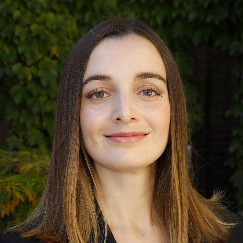 Transformative and Subsistence Entrepreneurs: Origins and Impacts on Economic Growth