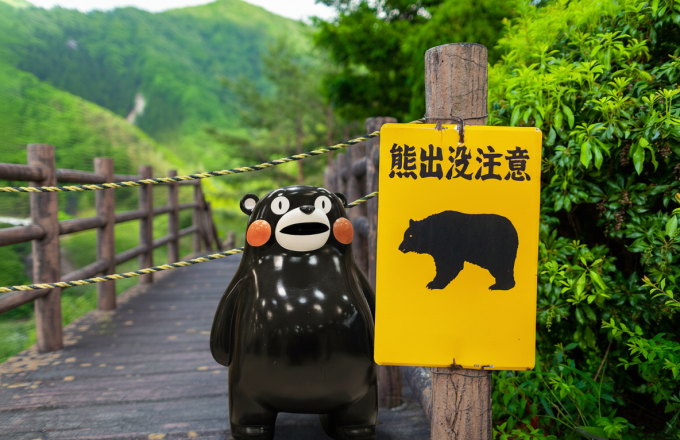 Beware of Bears: How Economics Can Resolve Japan’s Escalating Human-Bear Conflict