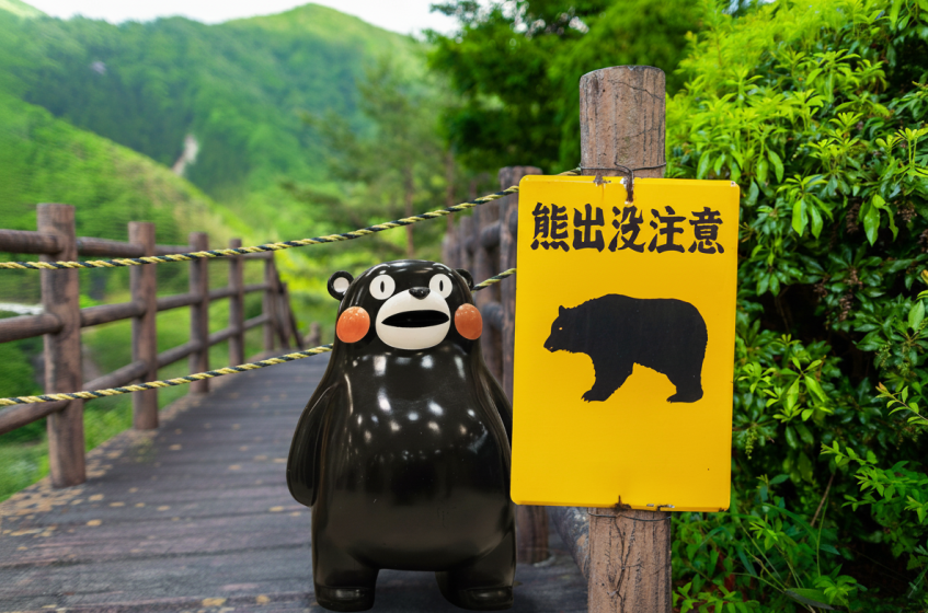 Beware of Bears: How Economics Can Resolve Japan’s Escalating Human-Bear Conflict