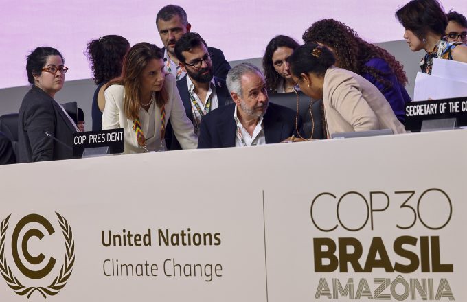 When Axes Meet the Balance Sheets: How the World is Revaluing the Forests