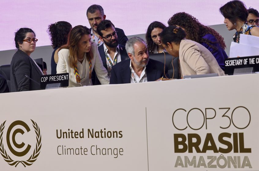 当斧头遇上帐本：重塑森林价值的全球实践