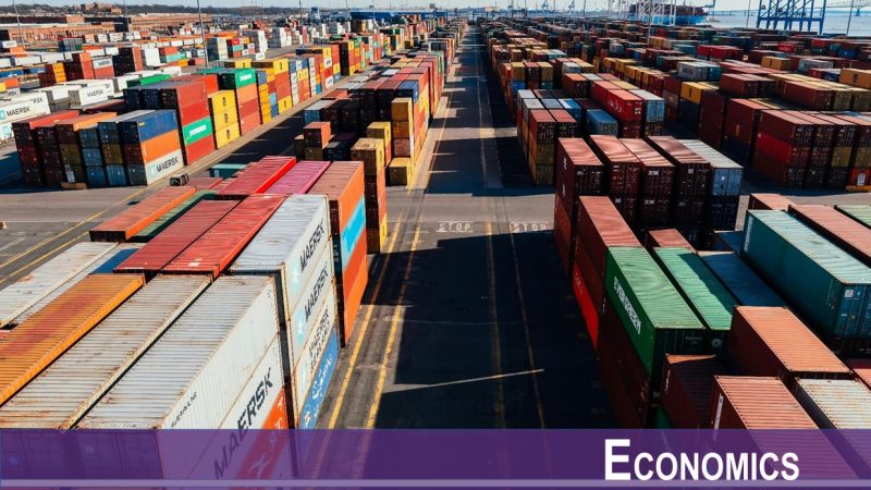 Multinational Production and Global Shock Propagation During the Great Recession