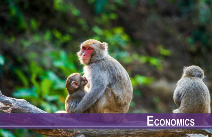 Effects of Multigenerational Exposure to Early-Life Advantage: Lessons from a Primate Study