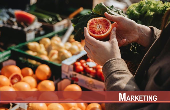 Anthropomorphizing Personal Goals as Dependent Persons Empowers Consumer Goal Pursuit