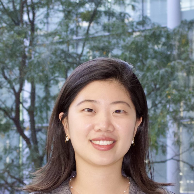 Bidding for Reputation