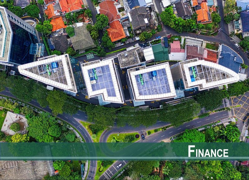 The Determinants of ESG Ratings: Rater Ownership Matters