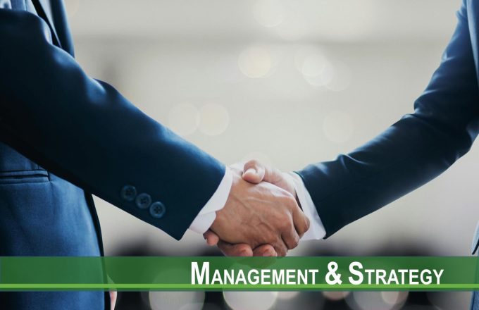 The Influence of Power on Trust in Buyer-Supplier Relationships: An Actor-Partner Interdependence Approach