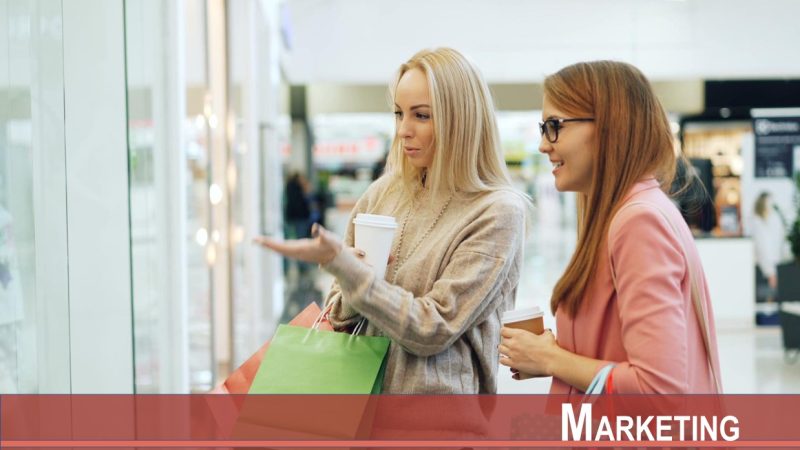 To Each Their Own: Personalized Product Offerings in Competition