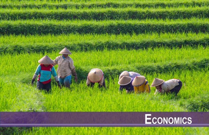 The Green Revolution and Individualism: Evidence from Indonesia