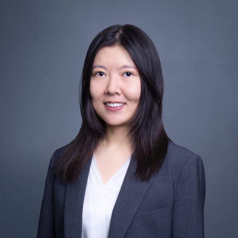 Prof. Junting DUAN's portfolio