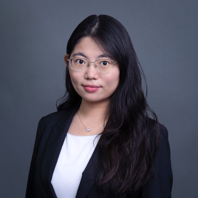 Prof. Weiting MIAO's portfolio
