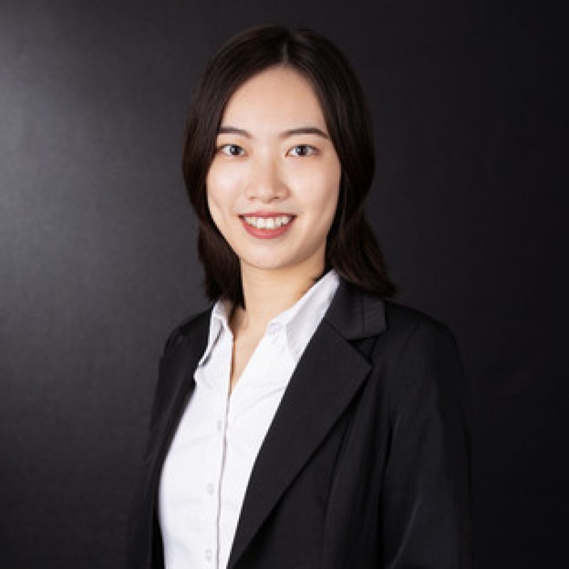 Ms. Yang CHEN's portfolio