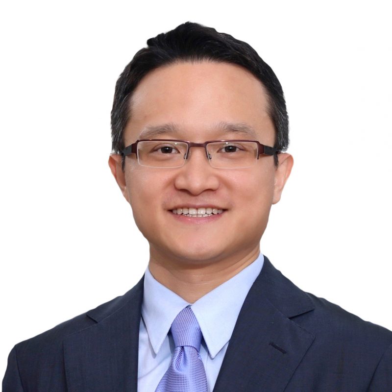 Prof. Zhixi WAN's portfolio
