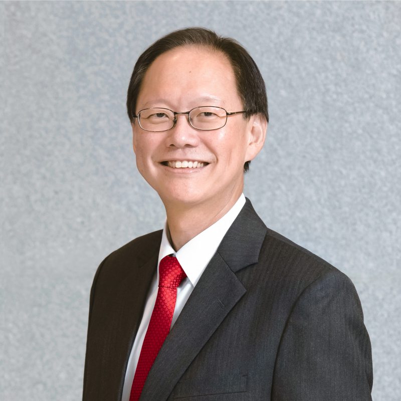 Prof. Philip N L CHEN's portfolio