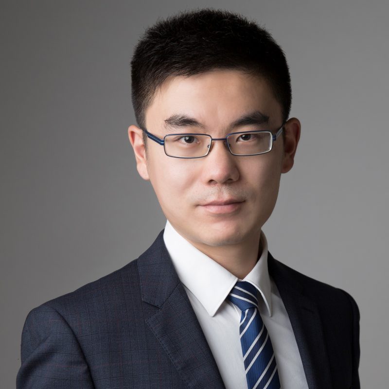Dr. Zhongwen FAN's portfolio