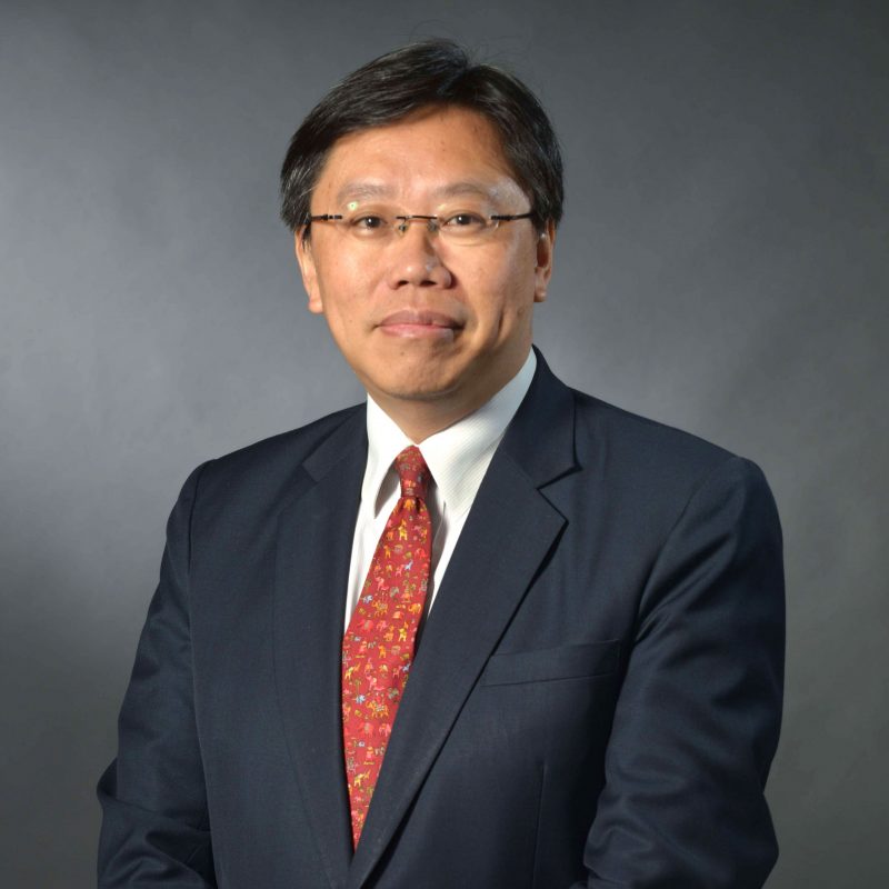 Prof. Patrick Y.K. CHAU's portfolio