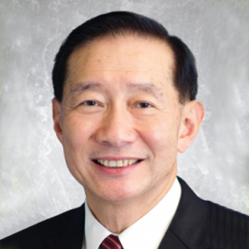 Mr. Peter Tung Shun WONG's portfolio