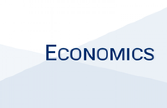 “Financial Constraints and Propagation of Shocks in Production Networks” by Professor Beata Smarzynska Javorcik